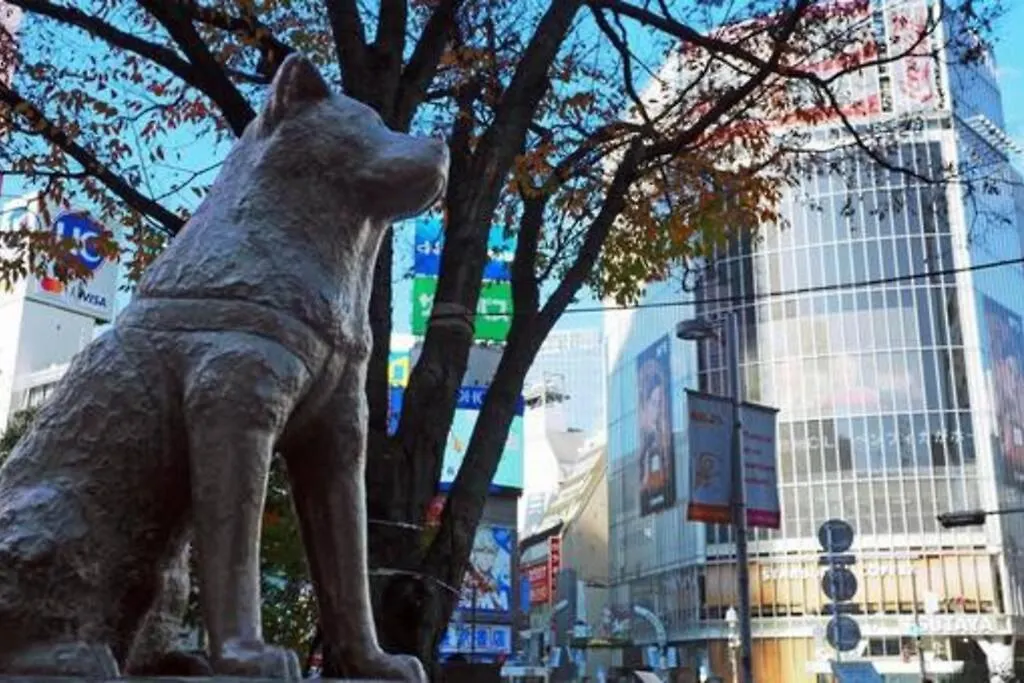 ダイトービル305 Apartment Tokyo